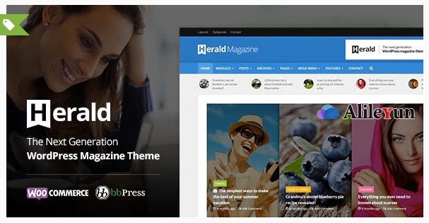 Herald 2.4 – 新闻门户和杂志WordPress主题【含中文语言包】