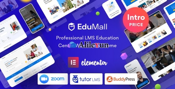 EduMall 2.4.2 – WordPress LMS教育培训专业主题【含中文语言包】