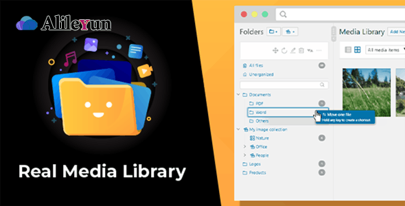 WordPress Real Media Library 4.13.5–文件夹和文件管理器插件