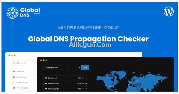 Global DNS v1.3.1 – 多服务器全局DNS传播检查器插件