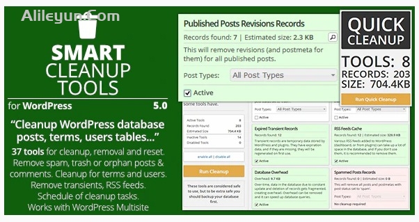 Smart Cleanup Tools v5.0 – 智能清理工具WordPress插件