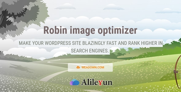 Webcraftic Robin Image Optimizer Pro 1.5.4 图像优化插件