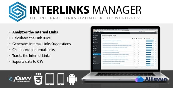 Interlinks Manager 1.26 –用于WordPress的内部链接优化器