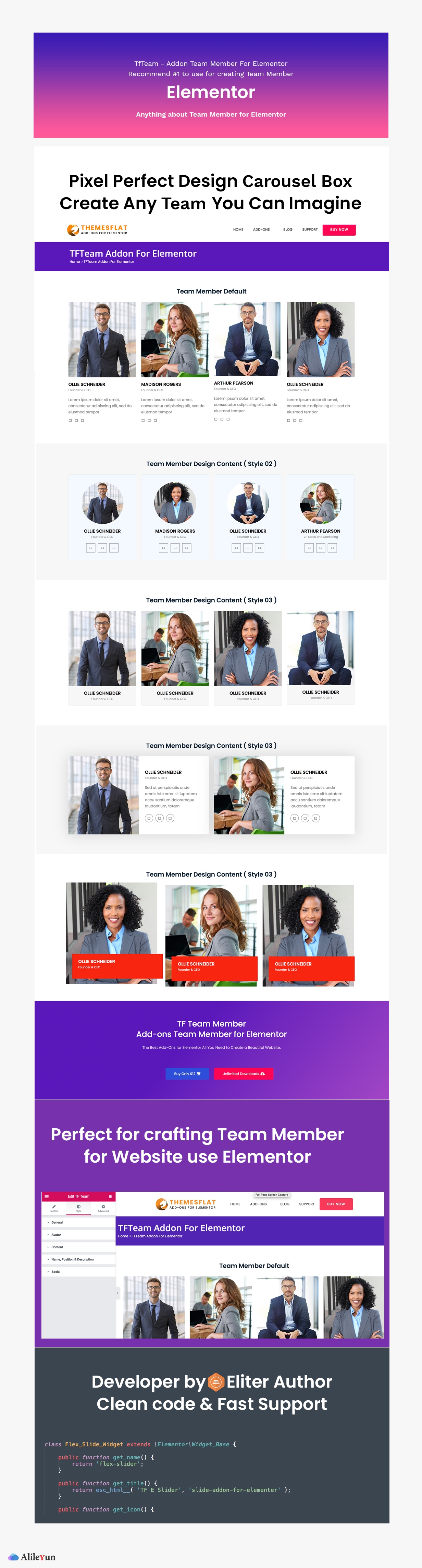 TfTeam v1.0.3 – Elementor团队成员插件