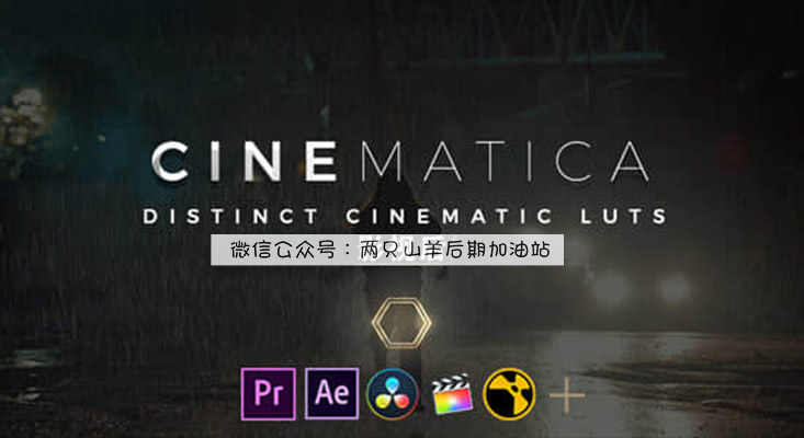 【预设】50种独特影视好莱坞大片LUTS调色预设 Cinematica LUTs（AE/PR/FCPX/PS/达芬奇/OFX）