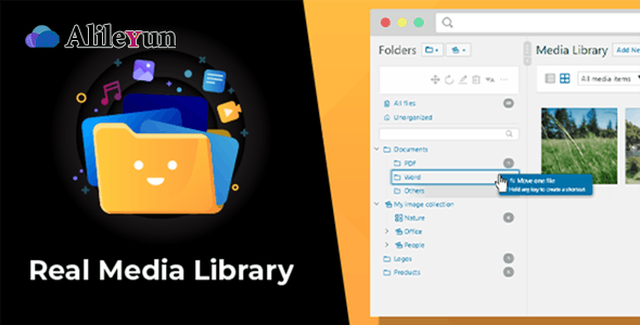 WordPress Real Media Library 4.13–文件夹和文件管理器插件