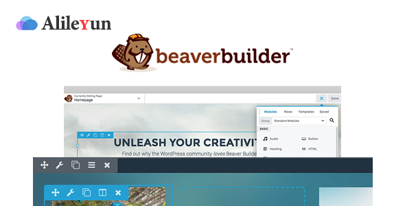 Beaver Builder Pro 2.4.2.1 – WordPress页面构建器插件