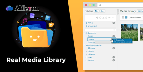 WordPress Real Media Library 4.12.4–文件夹和文件管理器插件