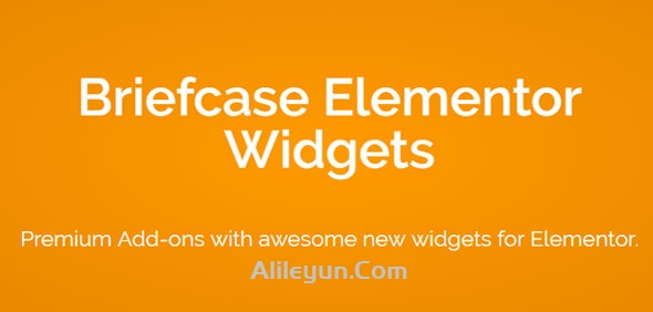 Briefcase Elementor Widgets 2.0.7 公文包插件