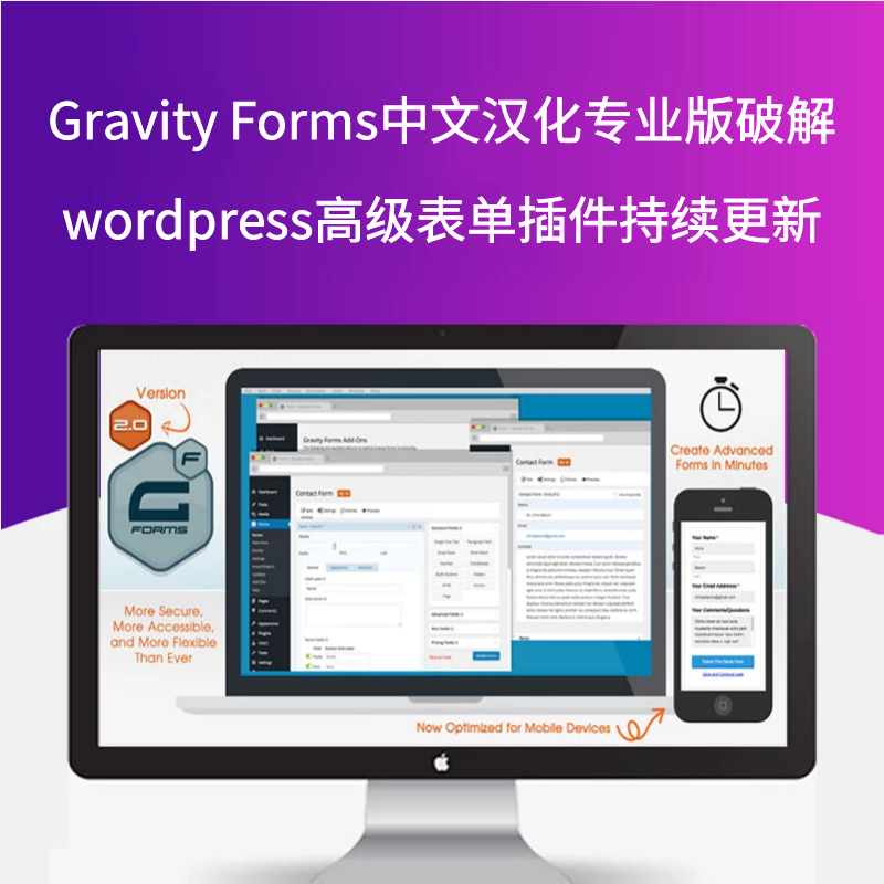 Gravity Forms v2.4.18.8中文汉化专业破解版wordpress插件永久更新