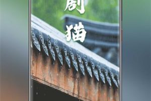 2020最新苹果CMSV10 JAVA原生影视APP修改版源码附安装教程