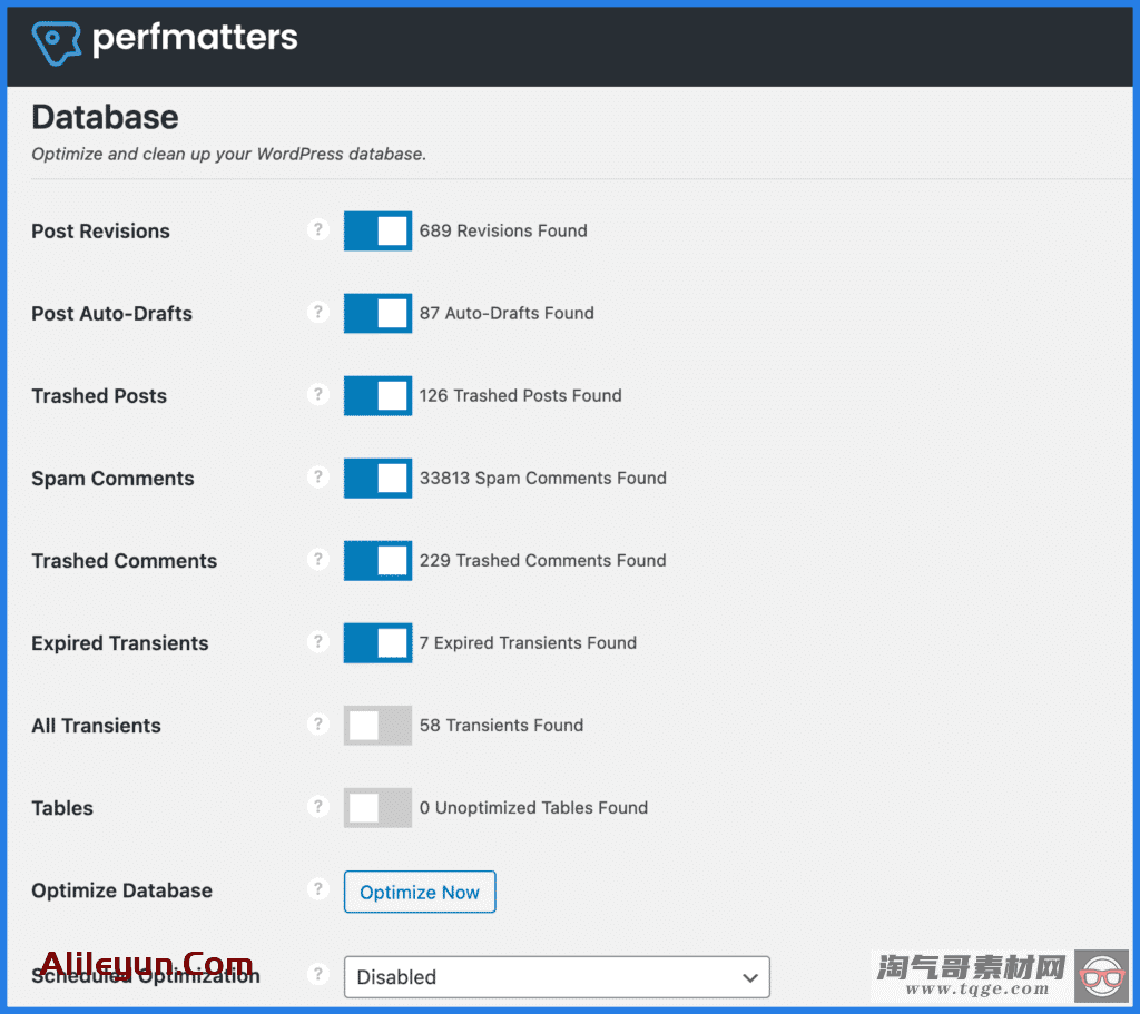 Perfmatters 1.6.9 – WordPress性能插件