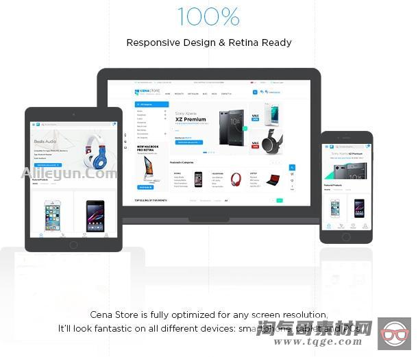 Cena Store 2.10.4 –多功能WooCommerce WordPress主题