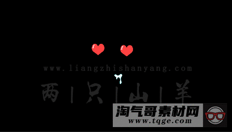 13.gif