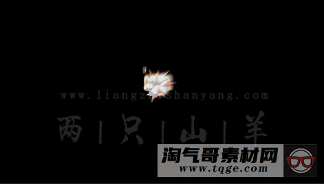 11.gif