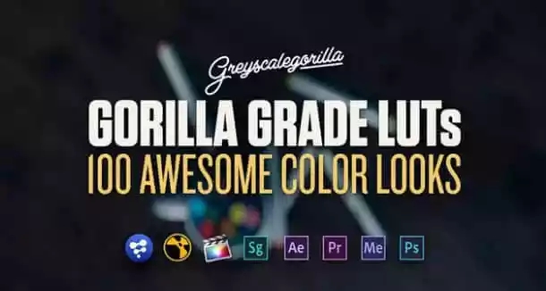 【预设】灰猩猩出品100种 LUTs 电影调色预设合辑 GREYSCALEGORILLA，PS/PR/AE/FCPX通用调色预设！