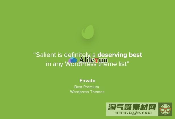 Salient 13.0.0 – WordPress响应多用途主题【含中文语言包】