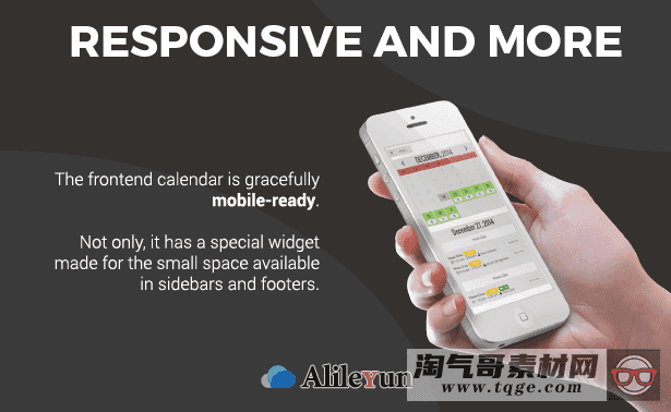 Team Booking v2.5.8 - WordPress团队预订系统【含中文语言包】