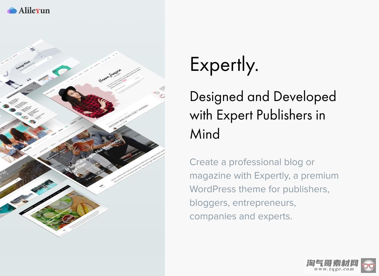 Expertly v1.7.6 - WordPress博客和杂志主题【含中文语言包】