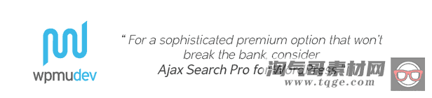 Ajax Search Pro 4.20.8 – WordPress实时搜索和过滤器插件