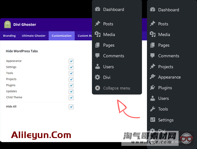 Divi Ghoster 5.0.24 – 白色标签Divi插件