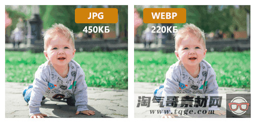 Webcraftic Robin Image Optimizer Pro 1.5.2 图像优化插件