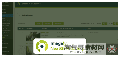 Webcraftic Robin Image Optimizer Pro 1.5.2 图像优化插件