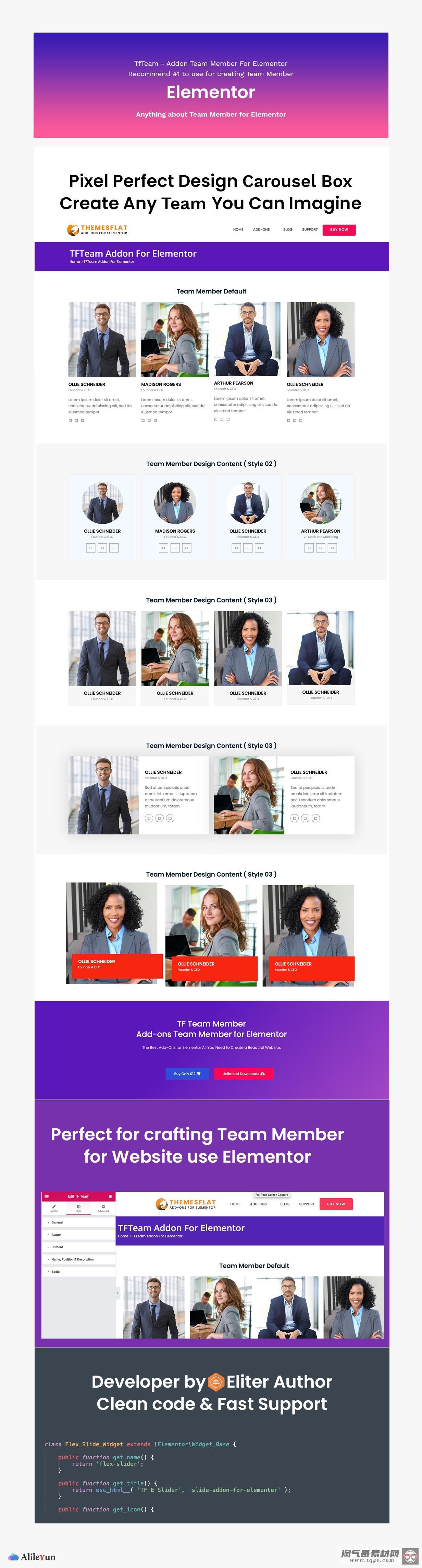 TfTeam v1.0.3 - Elementor团队成员插件