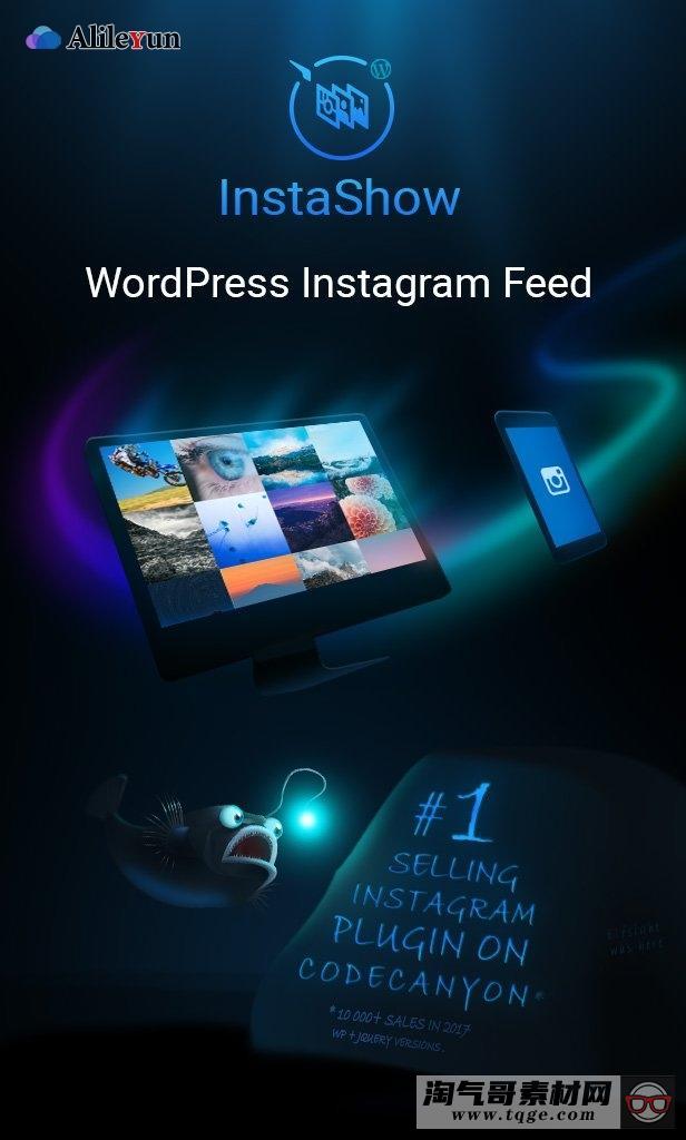 Instagram Feed 4.0.2 – WordPress Instagram画廊插件