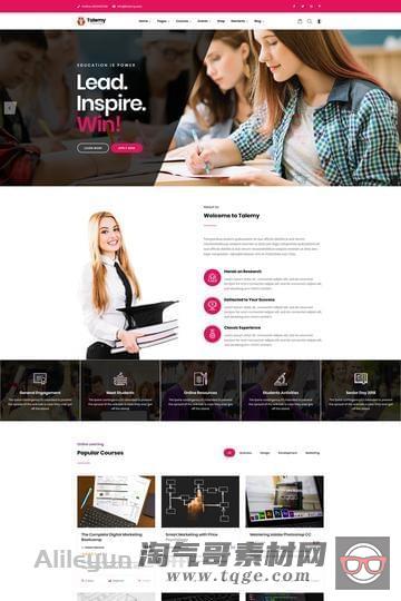 Talemy 1.2.4 – WordPress LMS 在线教育主题【含中文语言包】