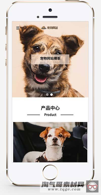 (自适应手机端)宠物商店宠物装备类网站pbootcms模板 宠物网站源码下载