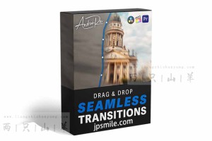 4K视频素材-20个前景物体遮挡无缝转场过渡效果 有透明通道 Seamless Transition Pack