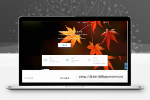 个码免签支付App监控无需输入金额+聚合支付后台源码