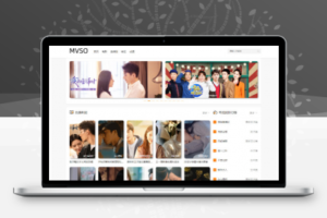 Thinkphp自适应在线电影影视网站系统源码
