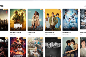 电影先生魔改版图片右上角标签自定义设置DIY