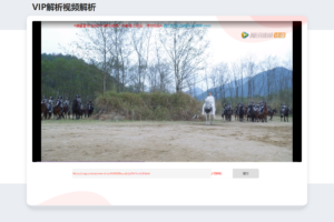 电影先生Mxone模板VIP视频解析页面修改