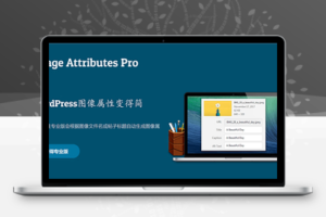 Auto Image Attributes Pro v2.0 图片批量添加alt