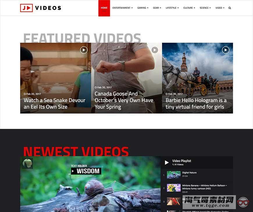 Jannah 免费下载 - 第1张