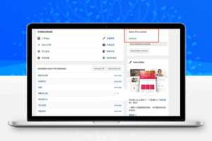 Astra Pro v3.9.0 WP最棒的可视化DIY主题
