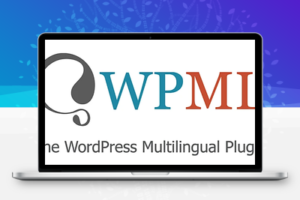 WPML v4.5.9 最强大的WP多语言翻译插件