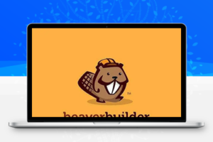 Beaver Builder v2.6.0页面构建器