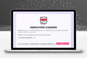 网页版短视频去水印源码，上传即用