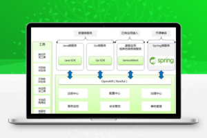 【JeeSpringCloud v3.2.4】后台权限管理系统+互联网云快速开发框架+微服务分布式代码生成