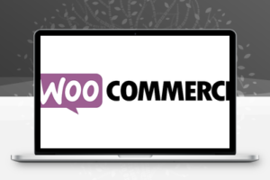 WooCommerce Product Bundles v6.17.1个性化产品捆绑包、批量折扣包