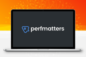 Perfmatters v2.0.0 WP加速插件