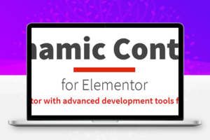 Dynamic Content for Elementor v2.8.0 Elementor动态内容插件