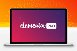 Elementor Pro v3.8.0 WordPress 可视化构建器