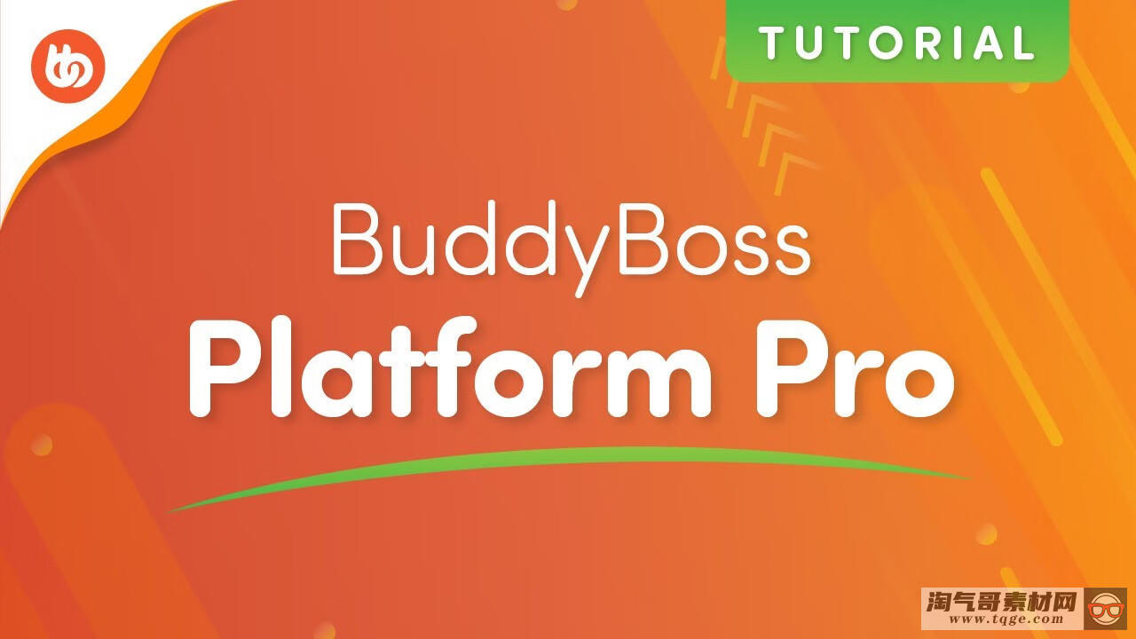 BuddyBoss Platform Pro - 第1张