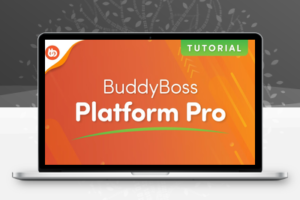 BuddyBoss Platform Pro v2.2.1 WordPress社区全家桶