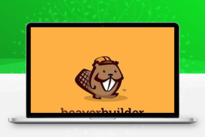 Beaver Builder v2.6.2.3 页面构建器